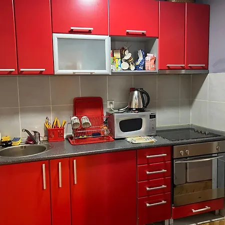 Tanasic Apartment *